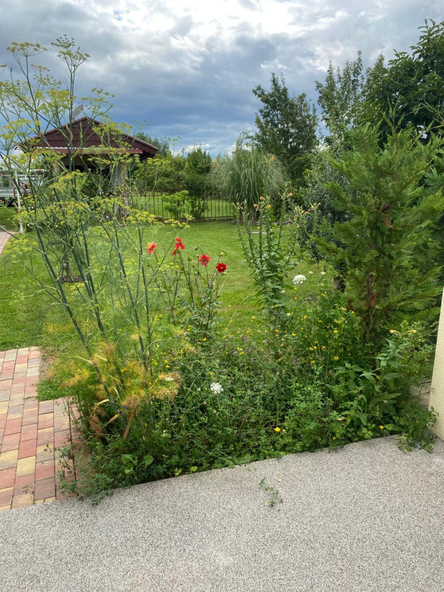 Ferienwohnung An Der Unditz 2 Neuried  Eksteriør billede